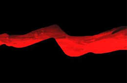 行業丨速凍食品新國家標準正式實施，這些“紅線”要注意了！