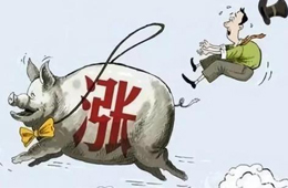 豬肉供應(yīng)量斷崖式下跌，肉價(jià)將開(kāi)啟全面大漲