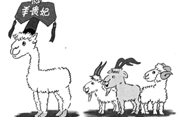 比去年同期上漲35%，價(jià)格井噴的“羊貴妃”路在何方？