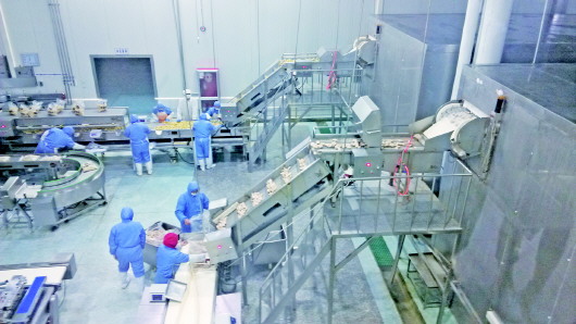  蚊蟲、毛發(fā)、焊渣……食品車間異物如何“一掃光”