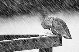 熱點 | 海欣營銷總監給經銷商的自救指南：立即行動，應對變化！