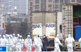 武漢華南海鮮市場完成大規(guī)模消殺；牛蛙、烏龜不列入禁食范圍