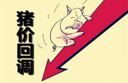  農(nóng)業(yè)農(nóng)村部：豬肉價(jià)格連8周回落，高峰或在9月前后出現(xiàn)