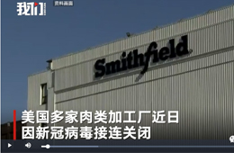 史密斯菲爾德、泰森等國外肉類巨頭停工，或引發全球“肉慌”？