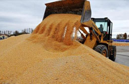  疫情全球肆虐，為什么我國不會出現(xiàn)糧食危機(jī)?