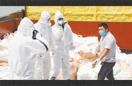 水產(chǎn)、禽肉、豬肉、牛肉…多種進口凍品連續(xù)檢出新冠陽性，冷鏈追溯構筑防控“安全鏈”