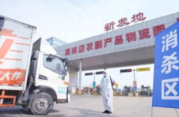 北京新發(fā)地暫停凍品等銷售和儲(chǔ)存；天津海聯(lián)冷庫感染源為北美豬頭