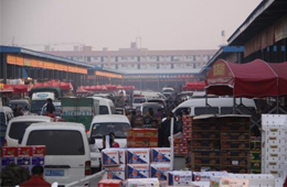 追蹤 | 冷庫停業，旺季將至，急壞凍品人！怎么辦？