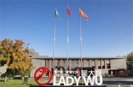 引領食尚，吳大嫂打造海鮮水餃領先品牌