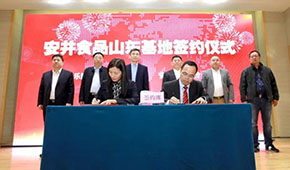 安井新動作：國內(nèi)密集布局產(chǎn)能，海外收購英國公司開啟國際