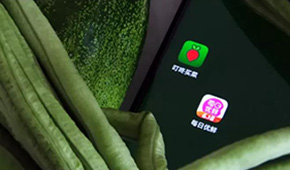 叮咚買菜、每日優鮮接連上市，是否持續利好預制菜成為“家常菜”？