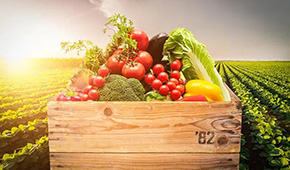 麥金地：從餐配轉(zhuǎn)型食品加工，“三級(jí)廚房”打造全國(guó)供應(yīng)鏈集群