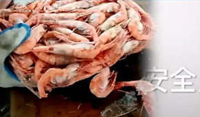 生產日期隨意改、過期蝦換包裝秒變合格品……味庫海鮮攤上事了，曾獲6輪融資