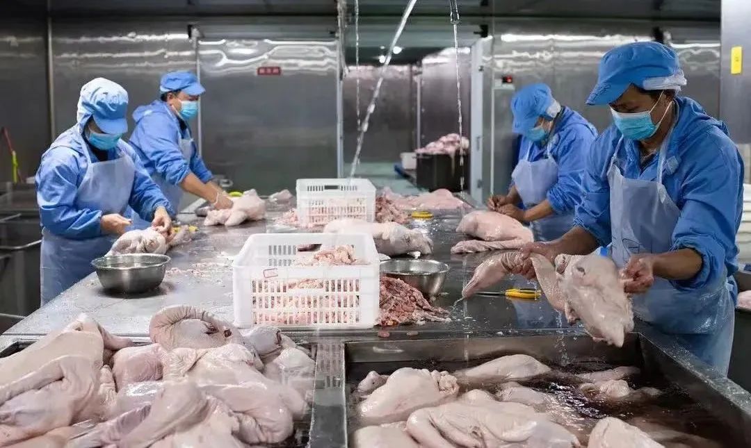 1656557043201008.jpg 1656557043201008.jpg