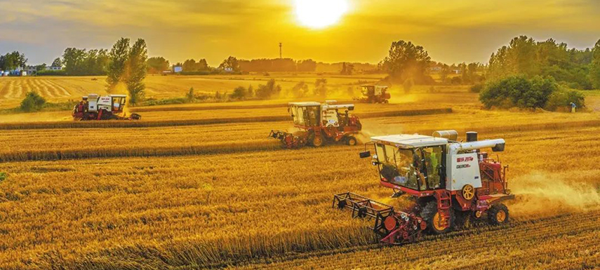 全國7/10的餃子、3/5的湯圓、1/2的火腿腸…河南這樣承包國人餐桌