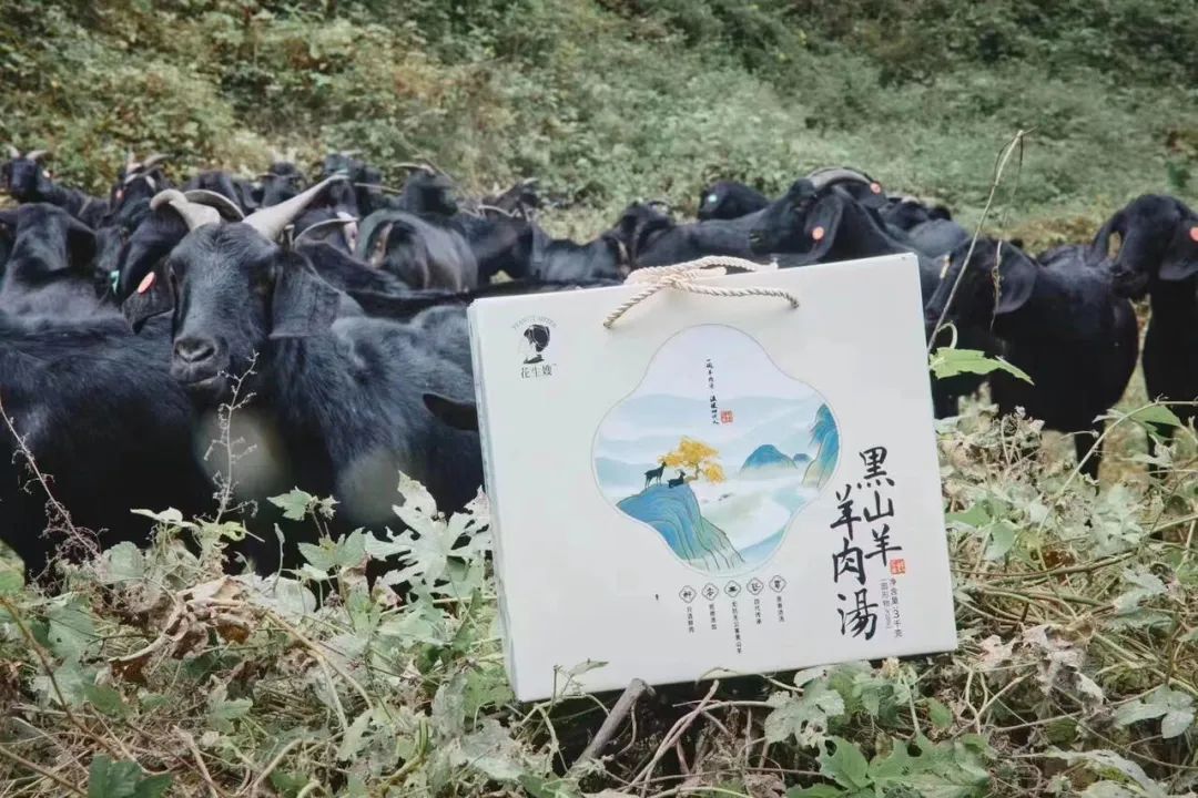 1677636463256122.jpg 1677636463256122.jpg