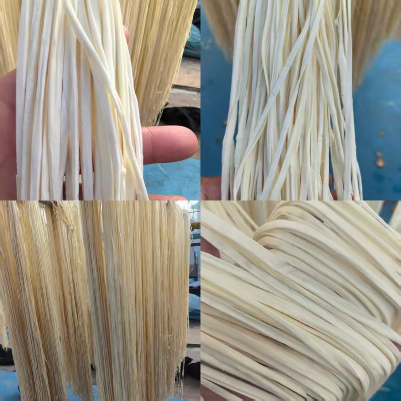 1763432339529567.png 1763432339529567.png