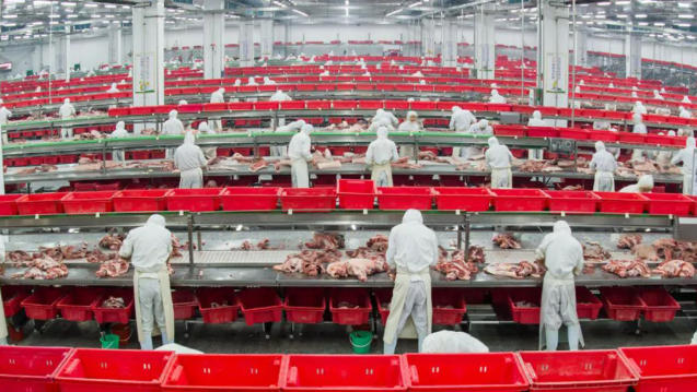 金鑼、郯潤、齊匯、瑞發(fā)德、喜姐炸串……山東臨沂“食力派”全鏈發(fā)力、高質(zhì)躍升