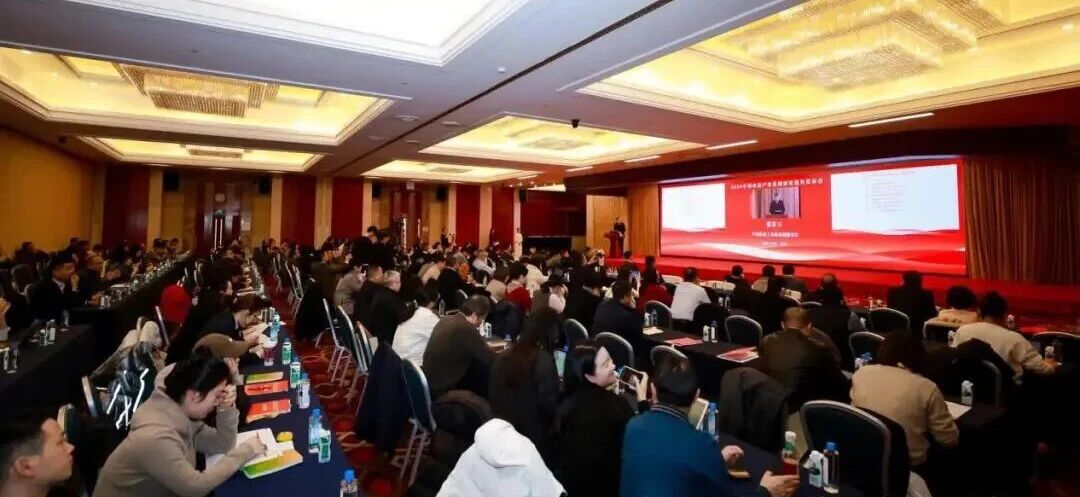 1767058874644242.jpg 1767058874644242.jpg